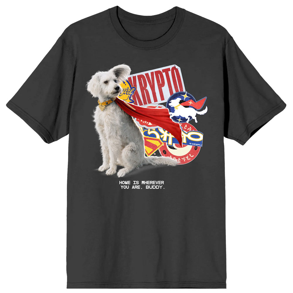 SUPERMAN - Supergirl Movie 2026 / Krypto Sticker Art